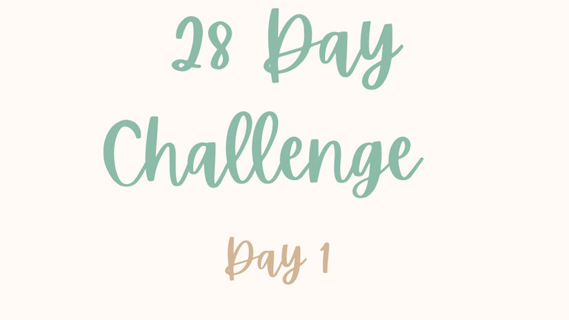 Day 1 - 28 day challenge